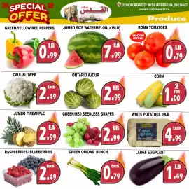 Al-Quds Supermarket flyer week 32 Page 3