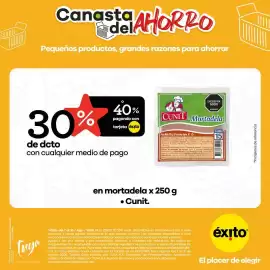 Catálogo Éxito Página 2