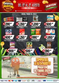 Catálogo Supermercados Mayor Página 11
