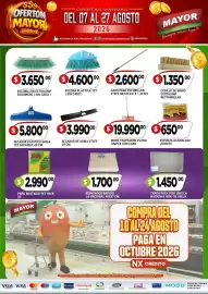 Catálogo Supermercados Mayor Página 5