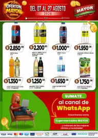 Catálogo Supermercados Mayor Página 8