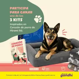 Catálogo Gandhi Página 1