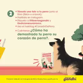 Catálogo Gandhi Página 3