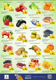 Nesto catalogue Page 2