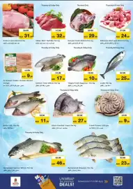 Nesto catalogue Page 26