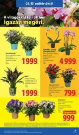 Lidl akciós újság hét 33 Oldal 19