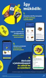 Lidl akciós újság hét 33 Oldal 39