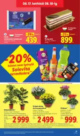 Lidl akciós újság hét 33 Oldal 61