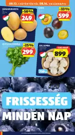 ALDI akciós újság hét 33 Oldal 10