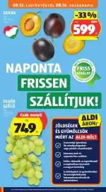 ALDI akciós újság hét 33 Oldal 12