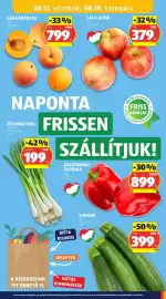 ALDI akciós újság hét 33 Oldal 21