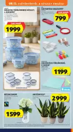 ALDI akciós újság hét 33 Oldal 31