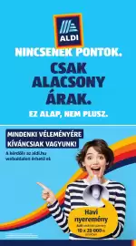 ALDI akciós újság hét 33 Oldal 45