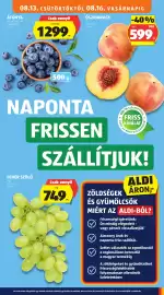 ALDI akciós újság hét 33 Oldal 9