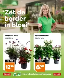Poiesz folder week 32 Pagina 37
