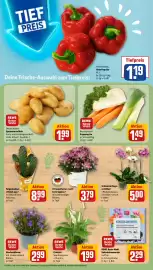 REWE Center Prospekt woche 33 Seite 7