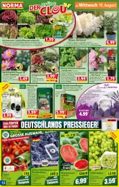 Norma Prospekt woche 34 Seite 12