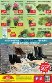 Zimmermann Prospekt woche 33 Seite 10