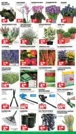 Wreesmann Prospekt woche 33 Seite 3