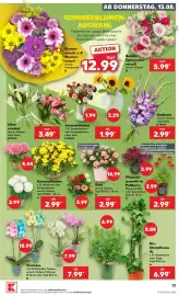 Kaufland Prospekt woche 33 Seite 23