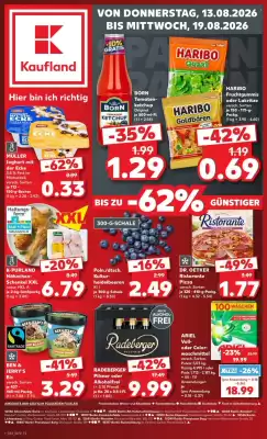Kaufland (gültig bis 19-08)