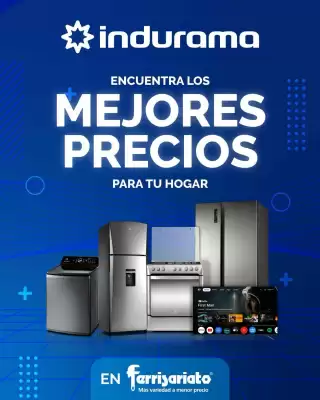 Ferrisariato (válido hasta 23-08)