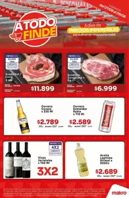 Catálogo Makro