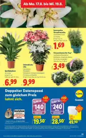 Lidl Flugblatt woche 33 Seite 30