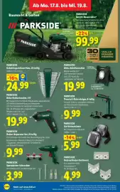 Lidl Flugblatt woche 33 Seite 31