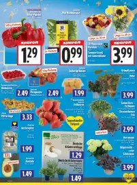 EDEKA Hahner Prospekt Seite 5