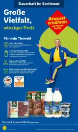 Lidl Prospekt woche 34 Seite 6