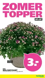 Ranzijn folder Pagina 6