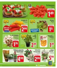 Edeka Prospekt Seite 5