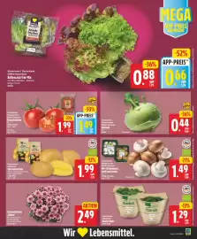 Edeka DE folder week 33 Pagina 3