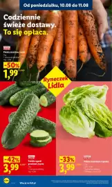 Lidl gazetka Strona 42