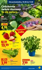 Lidl gazetka Strona 43