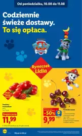 Lidl gazetka Strona 44