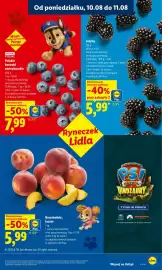 Lidl gazetka Strona 45