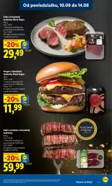 Lidl gazetka Strona 53