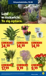 Lidl gazetka Strona 93