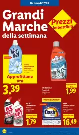 Volantino Lidl settimana 33 Pagina 40: WC NET Carbon Active €1,79, DASH Detersivo Bucato €16,49