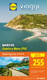 Volantino Lidl settimana 33 Pagina 42