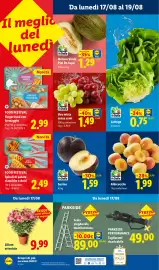 Volantino Lidl settimana 33 Pagina 45: Parkside Performance €49,00, Susine €1,59