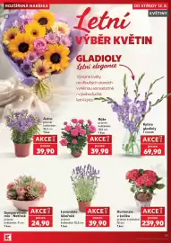 Kaufland leták týden 33 Strana 41