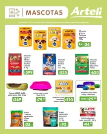 Folleto Arteli Página 19: Purina Dog Chow €620,00, Boris arenero para gato €79,90