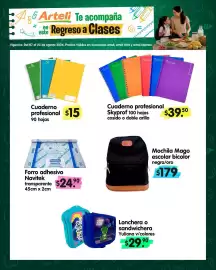 Folleto Arteli Página 2: SkyBook Cuaderno profesional Skyprof €39,50, Cuaderno profesional €15,00