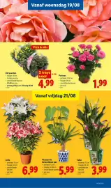 Lidl folder week 34 Pagina 19