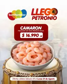 Catálogo Surtifamiliar Página 5