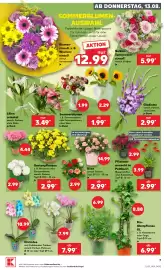 Kaufland DE tilbudsavis uge 33 Side 7
