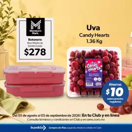 Catálogo Sam's Club Página 3